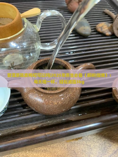普洱茶陈皮枸杞可以吗