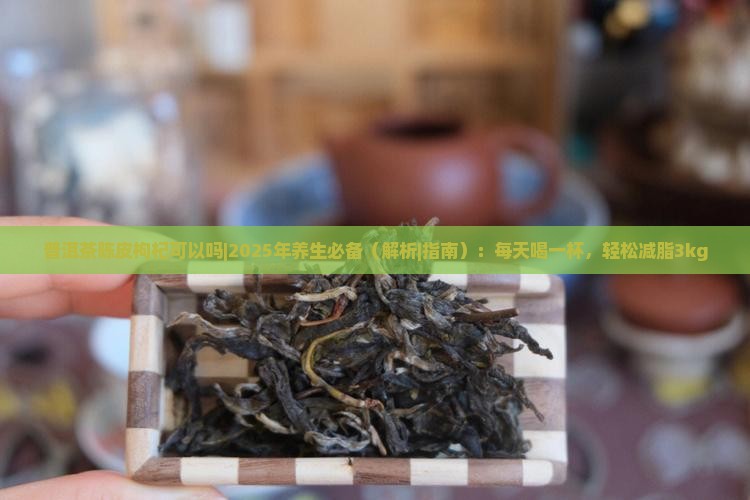 普洱茶陈皮枸杞可以吗