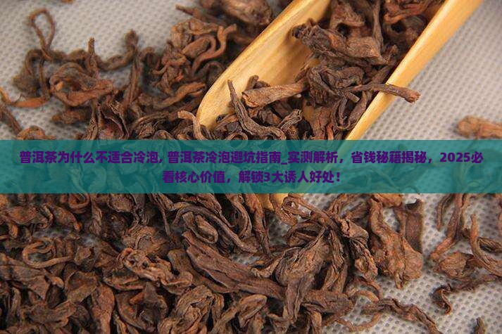 普洱茶为什么不适合冷泡