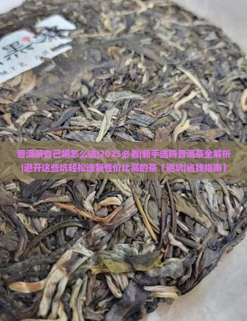 普洱茶自己喝怎么选