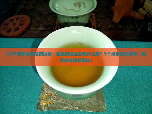 建盏用来喝什么茶
