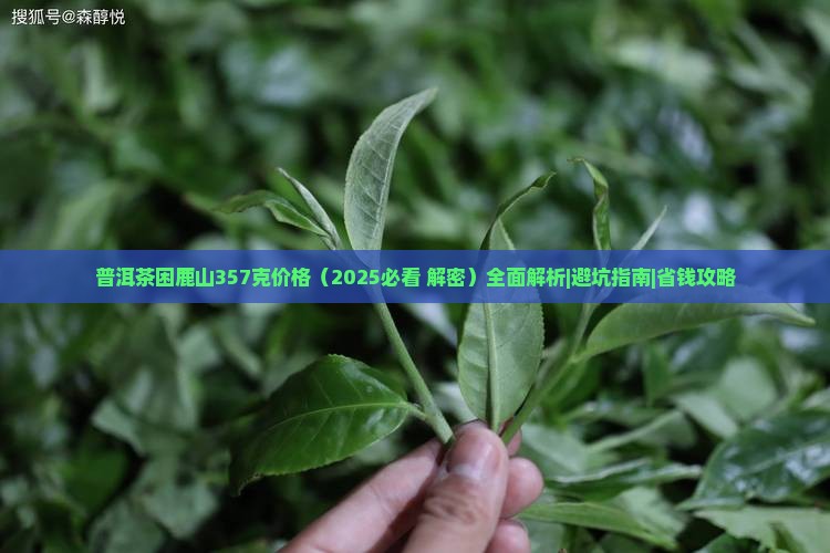 普洱茶困鹿山357克价格