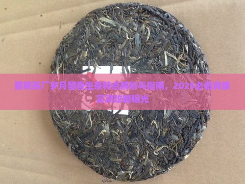黎明茶厂岁月留香生茶特点
