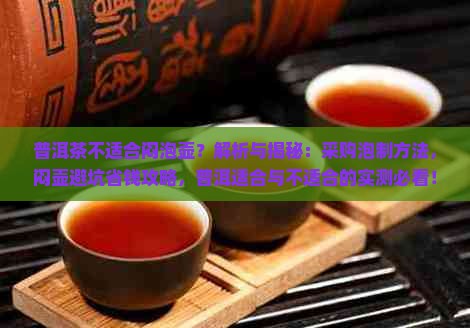 普洱茶适不适合闷泡壶
