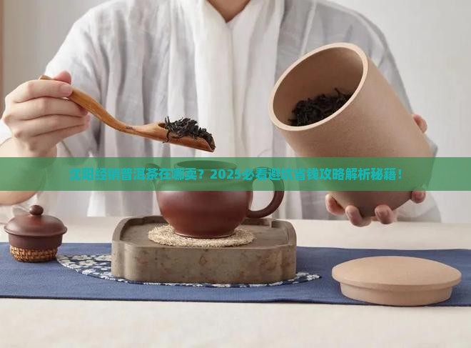 沈阳经销普洱茶在哪卖
