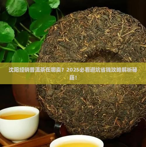 沈阳经销普洱茶在哪卖