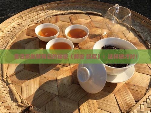 普洱茶发酵的原理