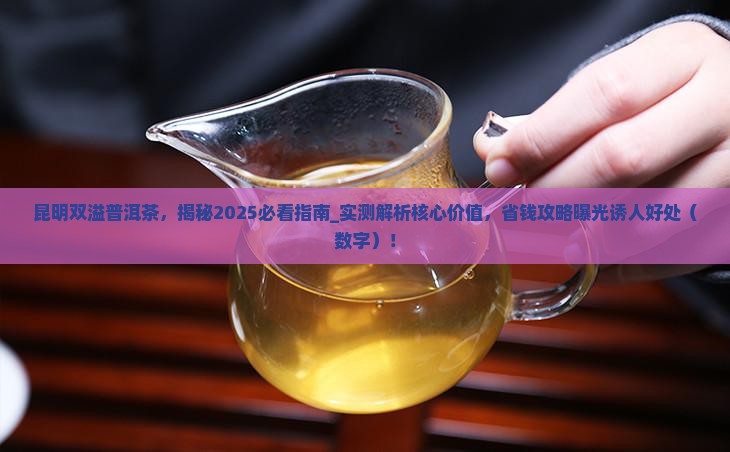 昆明双溢普洱茶