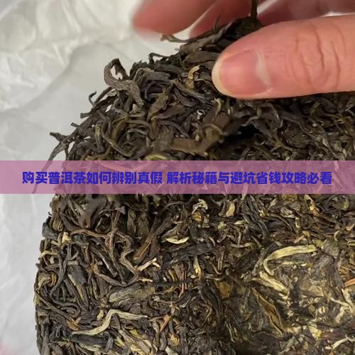购买普洱茶如何辨别真假