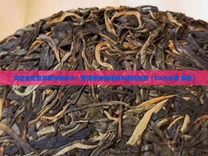 灵芝金花普洱茶放多久