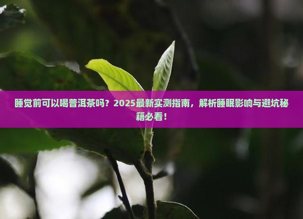 睡觉前可以喝普洱茶吗