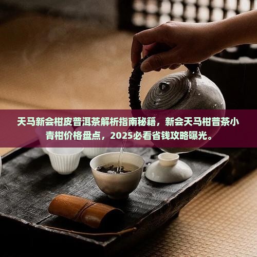 天马新会柑皮普洱茶