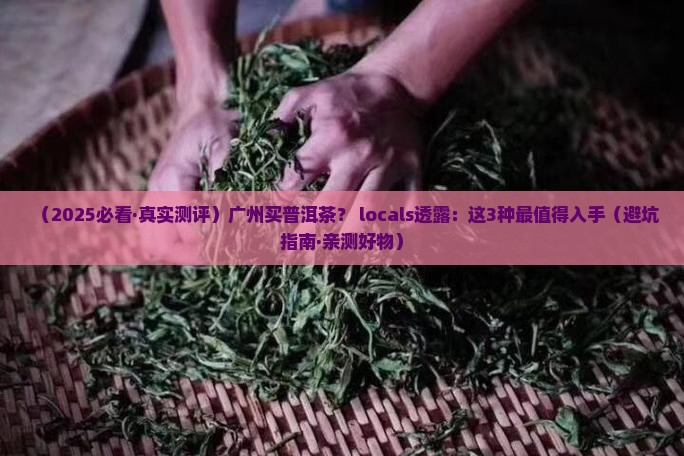 广州普洱茶推荐哪种茶叶