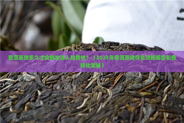 普洱茶放多久变松香