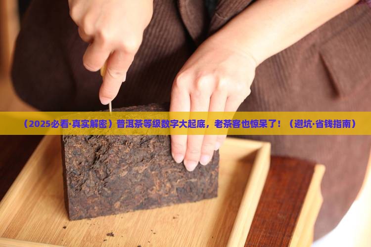 普洱茶的等级数字