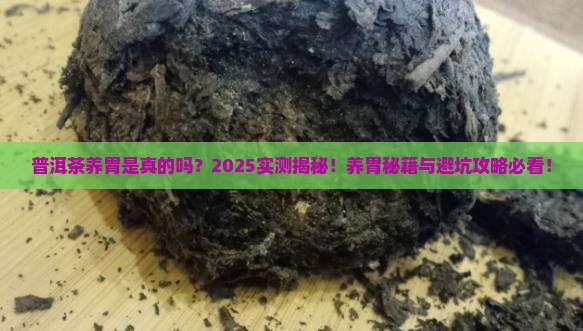 普洱茶有养胃的功效吗对胃好吗
