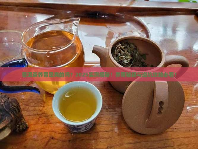 普洱茶有养胃的功效吗对胃好吗