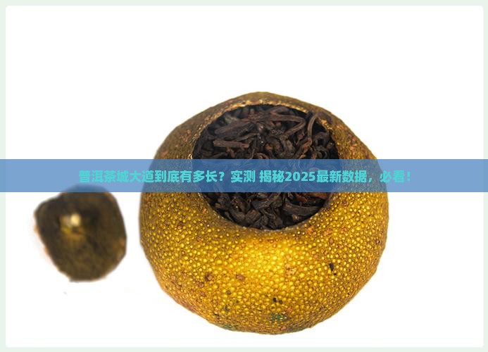 普洱茶城大道有多长
