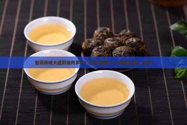 普洱茶城大道有多长