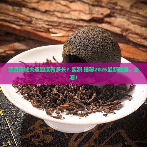 普洱茶城大道有多长