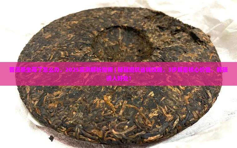 普洱茶生莓了怎么办