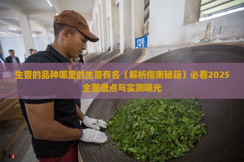 生普的品种哪里的生普有名