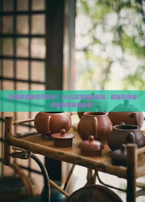 普洱茶直接撬开好吗吗怎么保存