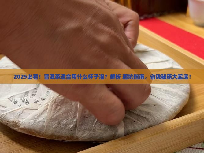 普洱茶适合用什么杯子泡