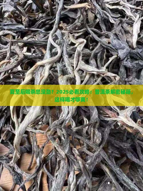 夏至后喝什么普洱茶好