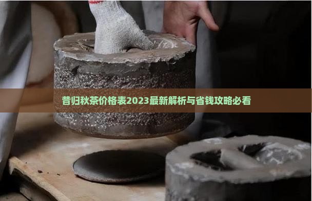昔归秋茶价格表