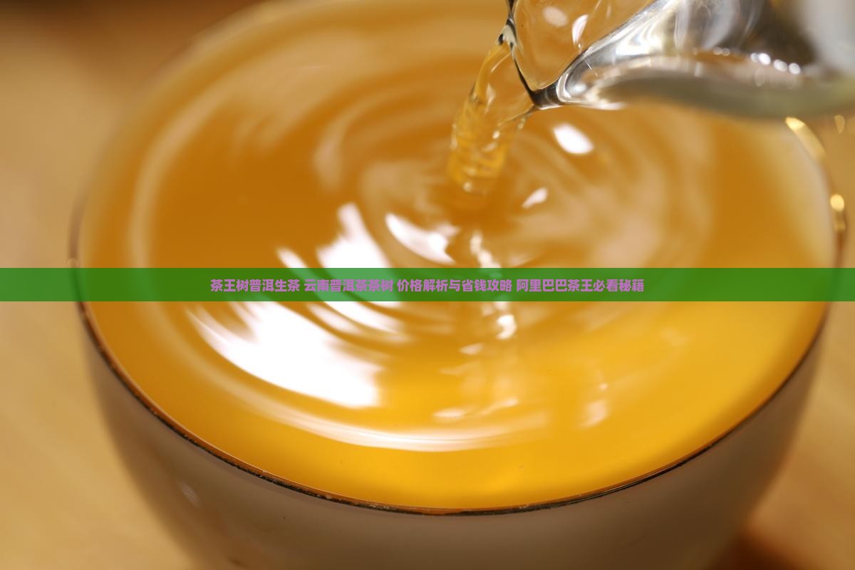 茶王树普洱生茶