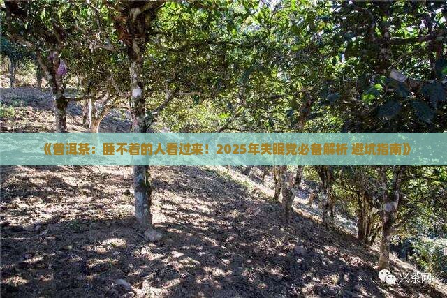 普洱茶睡不着的人