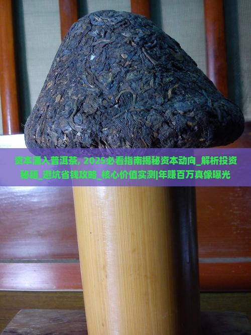资本涌入普洱茶