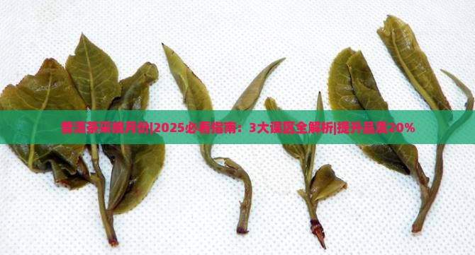 普洱茶采摘月份