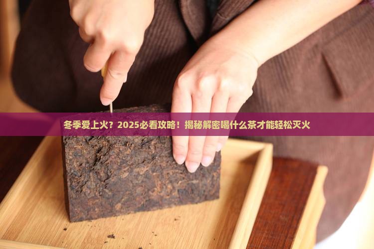 冬季容易上火喝什么茶