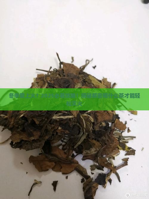 冬季容易上火喝什么茶