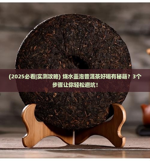 烧水壶怎么泡普洱茶好喝