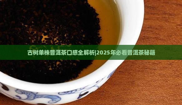 古树单株普洱茶口感
