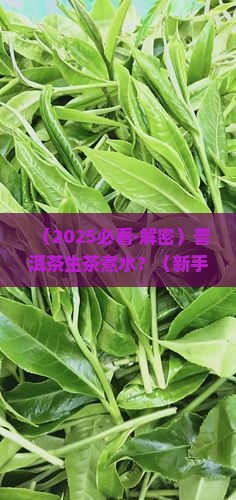 普洱茶生茶煮水