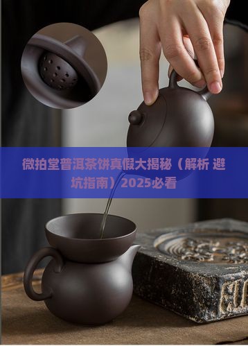 微拍堂普洱茶饼