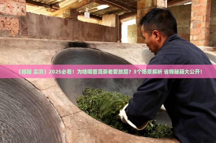 为啥喝普洱茶爱放屁