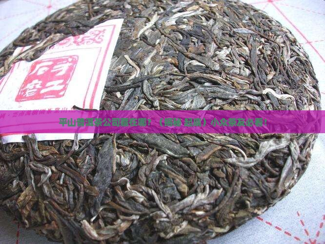 平山普洱茶公司在哪里