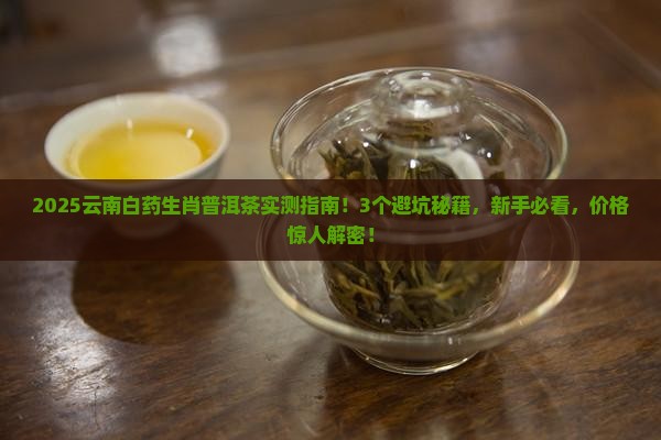 云南白药生肖普洱茶