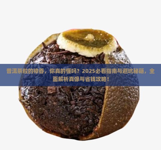 普洱茶粒的樟香