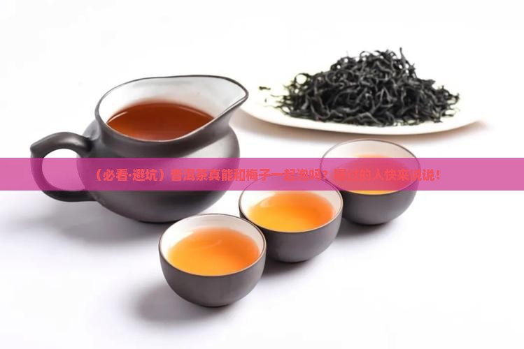 普洱茶可以和梅子一起泡么