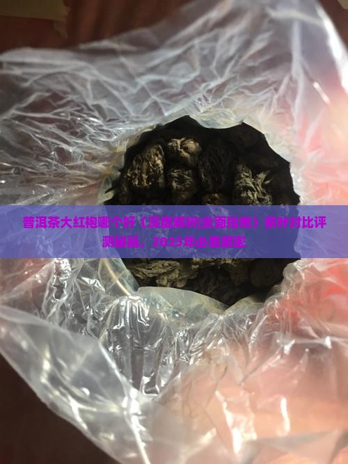 普洱茶大红袍哪个好