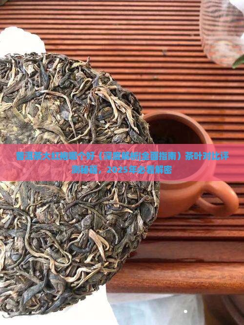 普洱茶大红袍哪个好