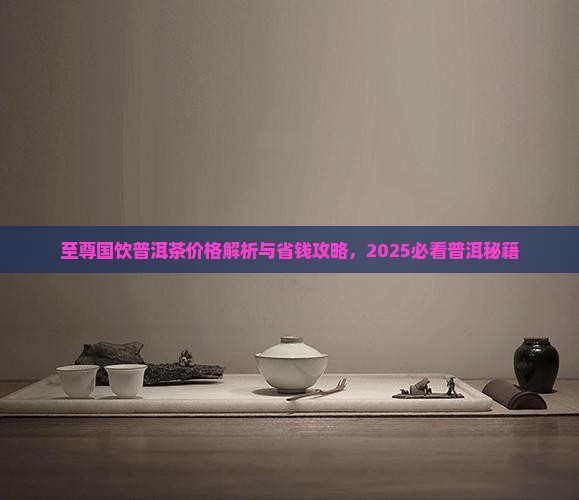 国饮至尊普洱茶