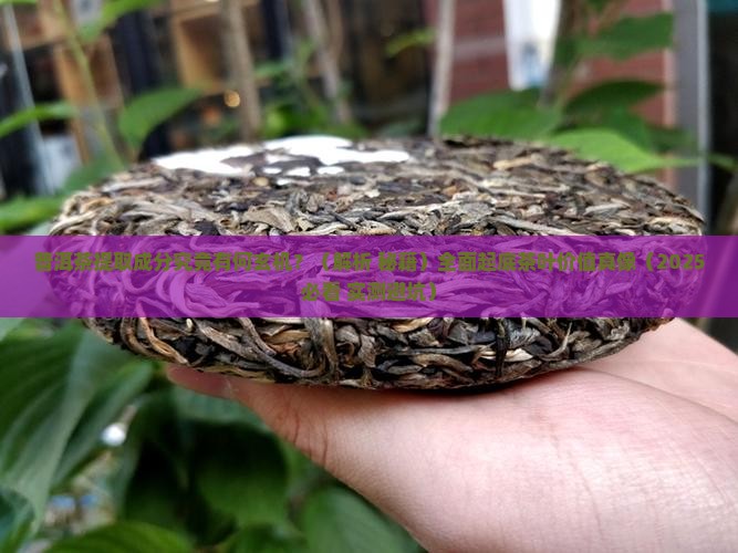普洱茶提取成分的研究