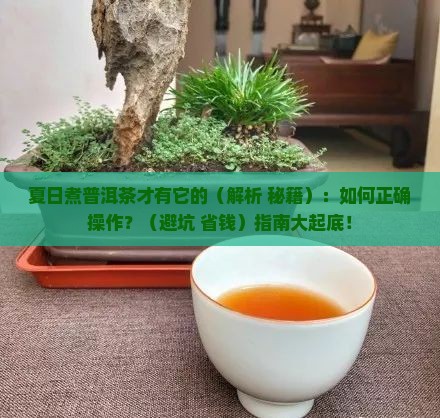 夏日煮普洱茶才有它的